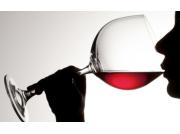 Belevingscadeau: Wijn Proeven Aan Huis logo