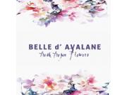 Belle d'Avalane logo