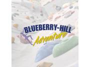 Blueberry hill logo