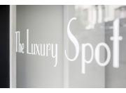 The Luxury Spot logo