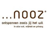 SkyNooz logo