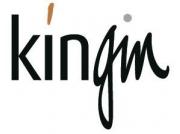 KinGin logo