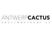 Antwerp Cactus logo