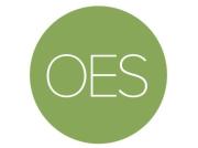 OES Conceptstore logo