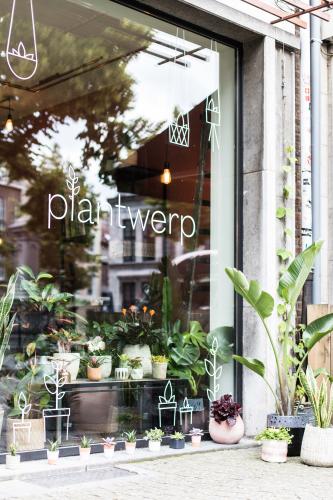 Plantwerp Antwerpen